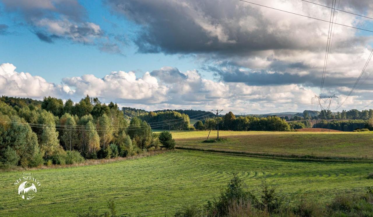 Osada Sluszewo - Apartamenty Restauracja Wydarzenia Гневино Экстерьер фото